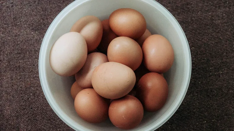 Beyaz kasede taze kahverengi yumurtalar